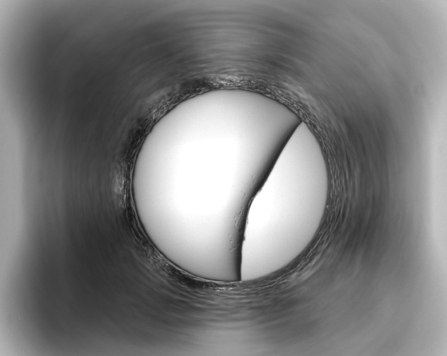 X0000096430749200801241023