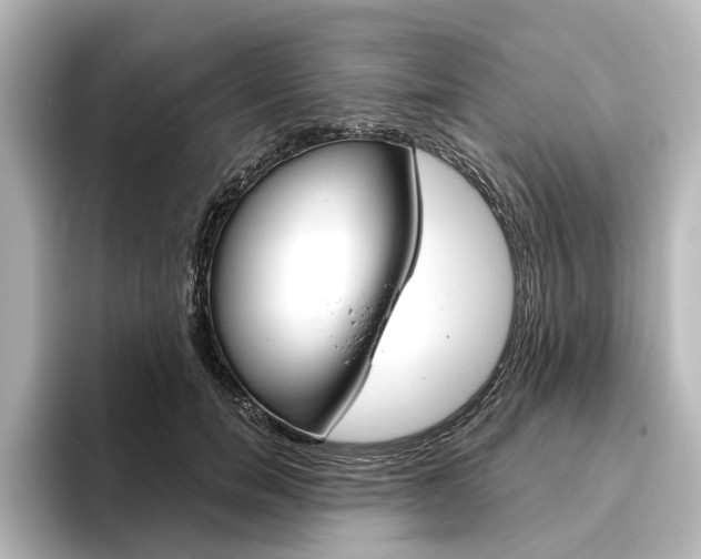 X0000096430750200801241023