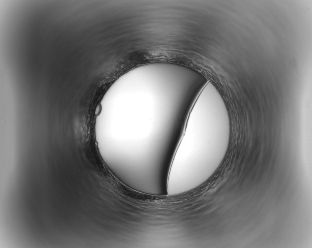 X0000096430751200801241023