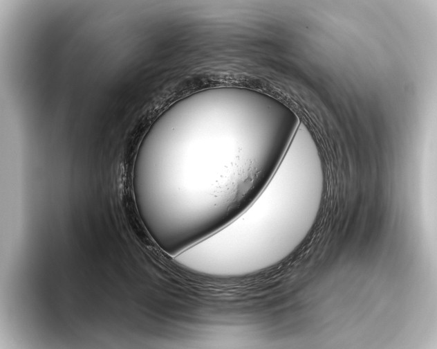 X0000096430752200801241023