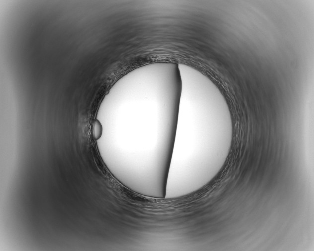 X0000096430753200801241023