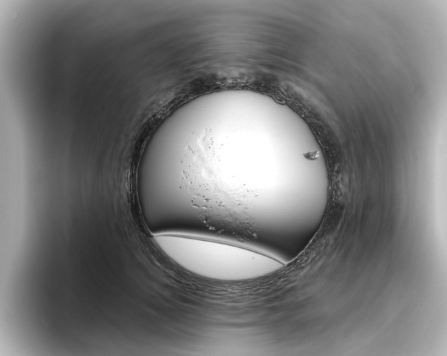 X0000096430756200801241023