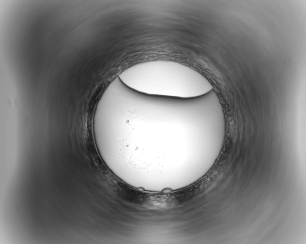 X0000096430757200801241023