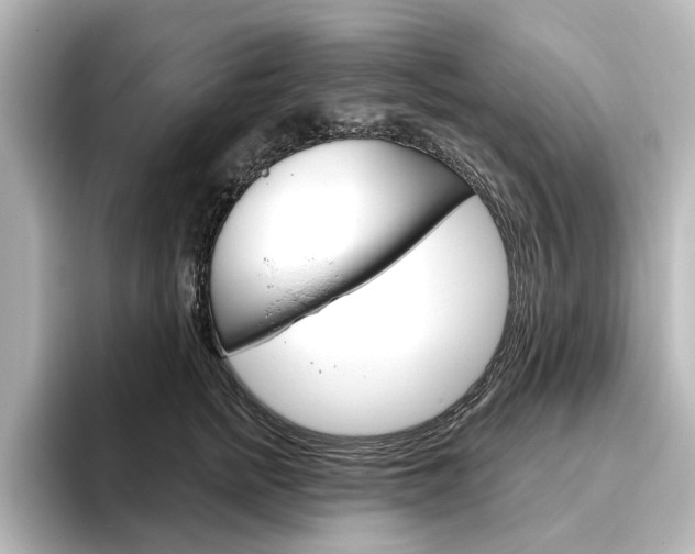 X0000096430758200801241023