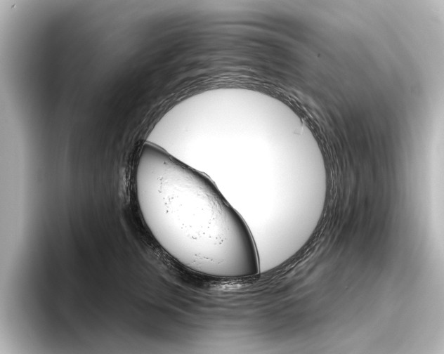 X0000096430759200801241023
