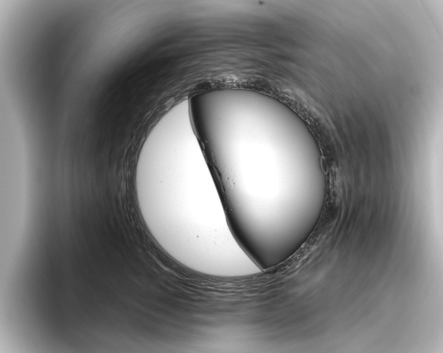 X0000096430760200801241023