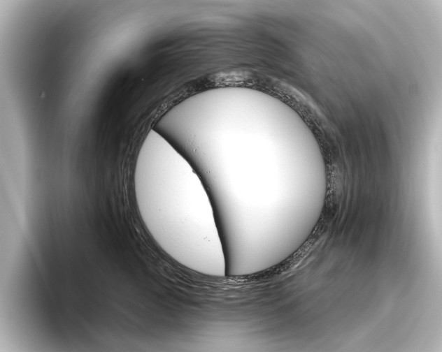 X0000096430761200801241023