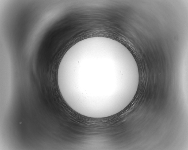 X0000096430762200801241023