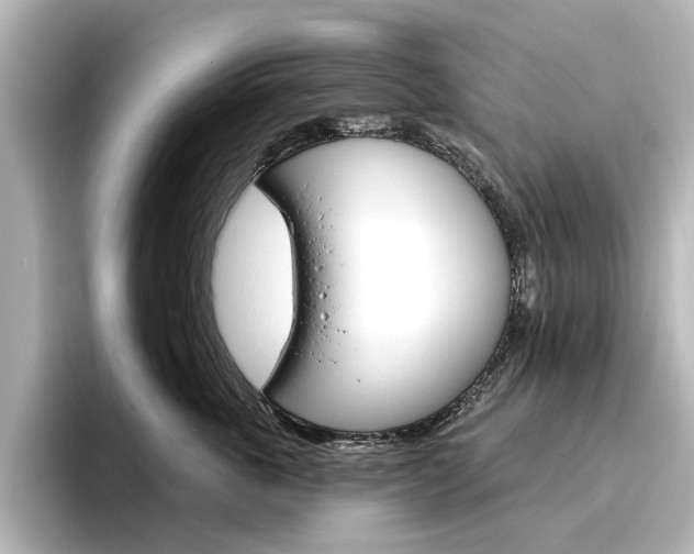X0000096430763200801241023