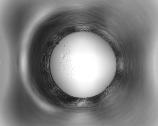 X0000096430764200801241023