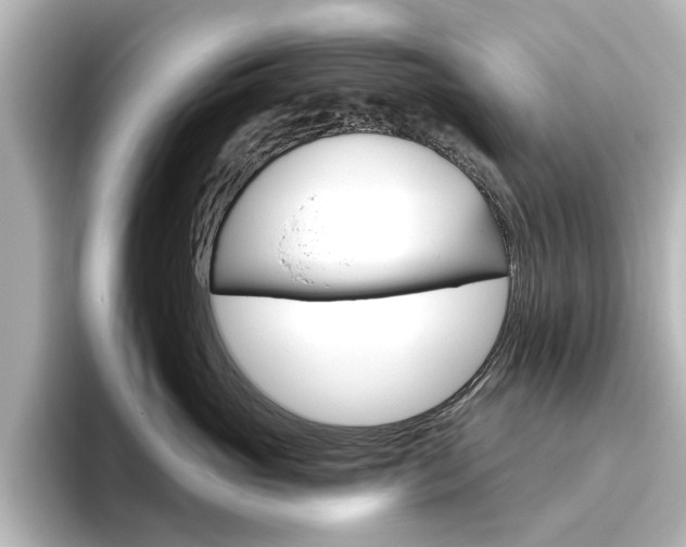 X0000096430765200801241023