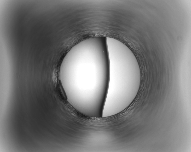 X0000096430768200801241023