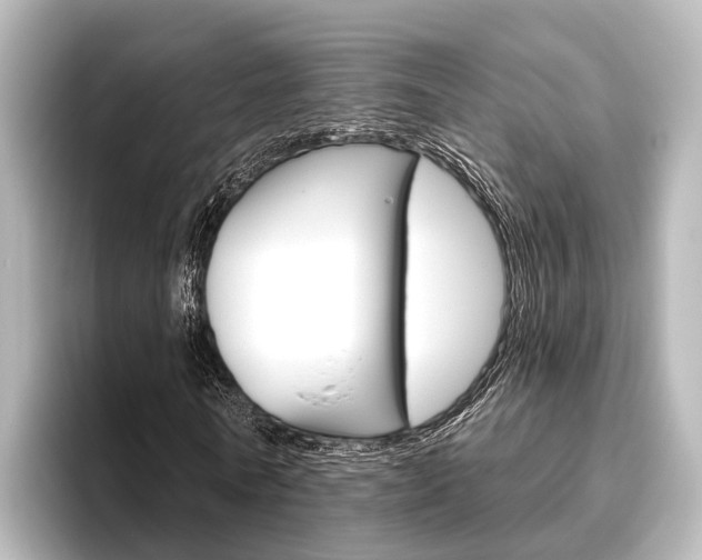 X0000096430770200801241023
