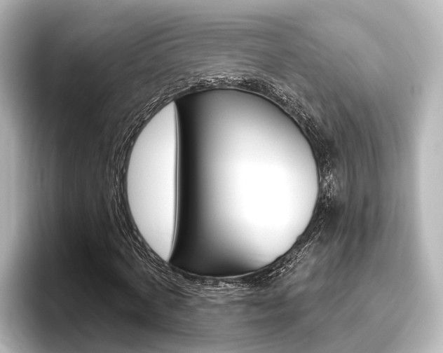 X0000096430772200801241023