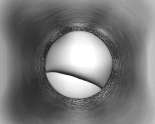 X0000096430774200801241023