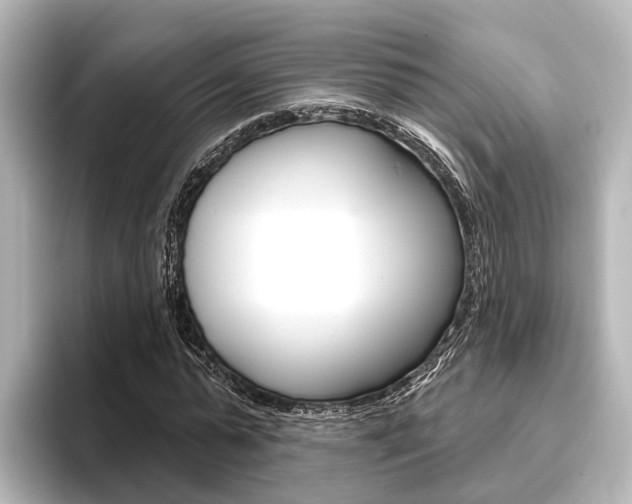 X0000096430775200801241023