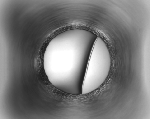 X0000096430776200801241023