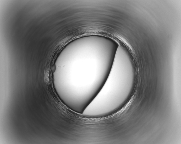 X0000096430777200801241023