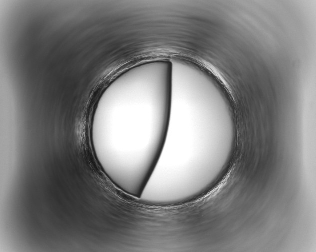 X0000096430778200801241023