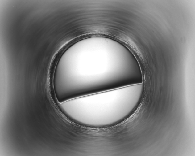 X0000096430780200801241023