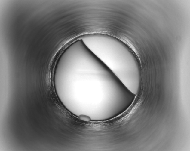 X0000096430781200801241023