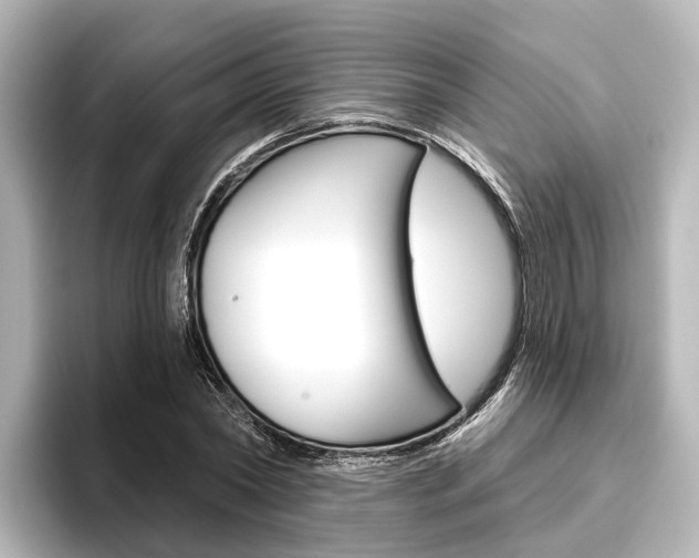 X0000096430782200801241023
