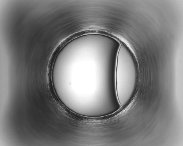 X0000096430783200801241023