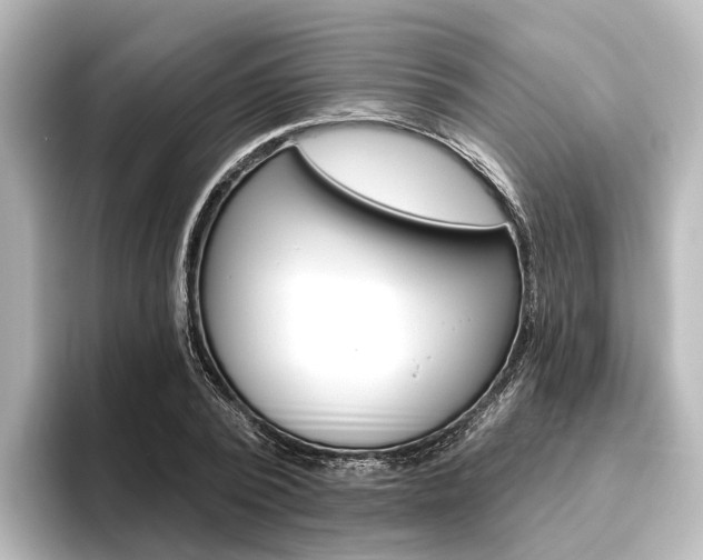 X0000096430784200801241023