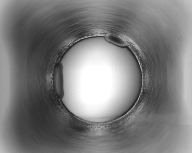 X0000096430785200801241023