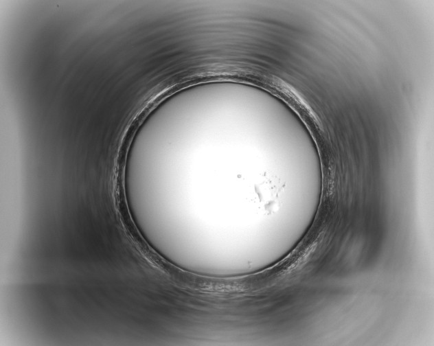X0000096430786200801241023
