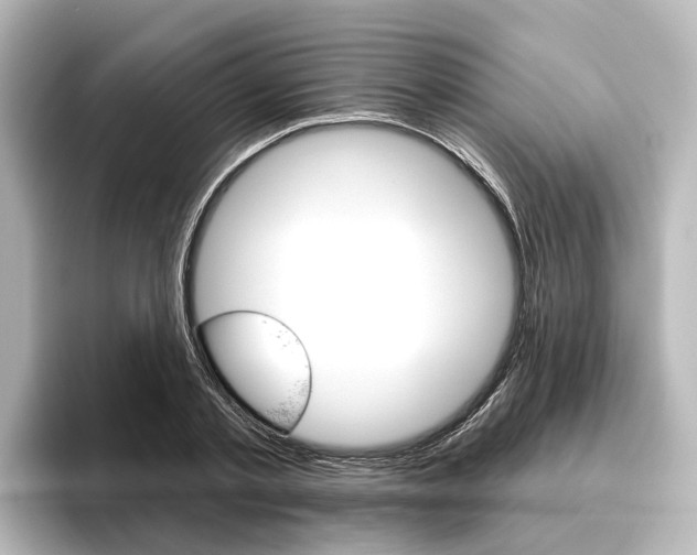 X0000096430789200801241023