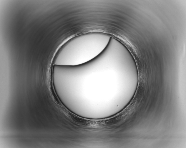 X0000096430790200801241023