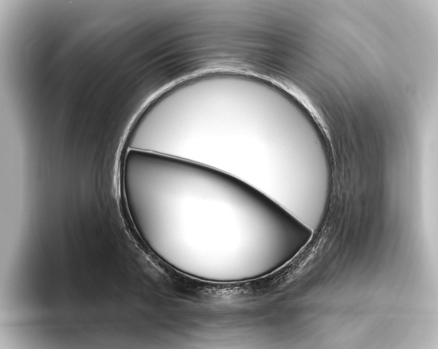 X0000096430791200801241022