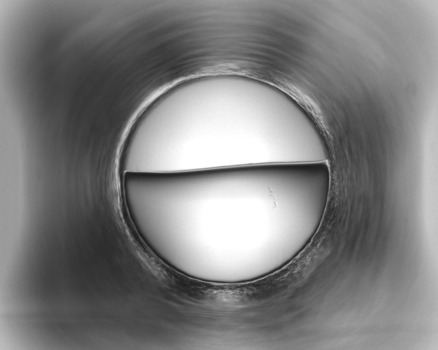 X0000096430792200801241022