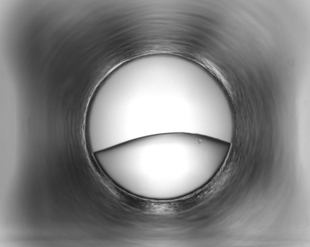 X0000096430794200801241022
