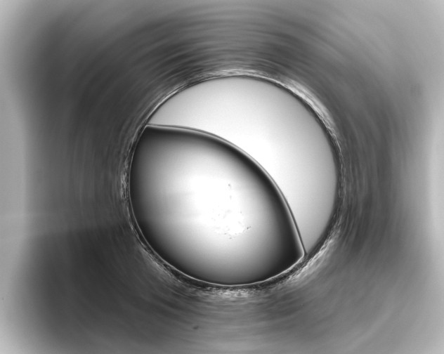 X0000096430801200801241022