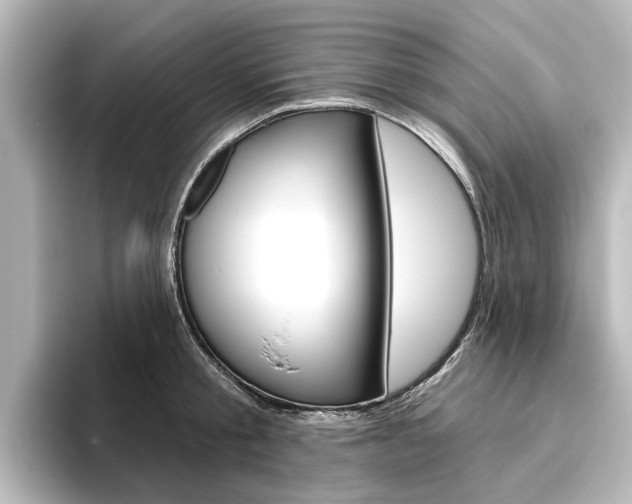 X0000096430805200801241022