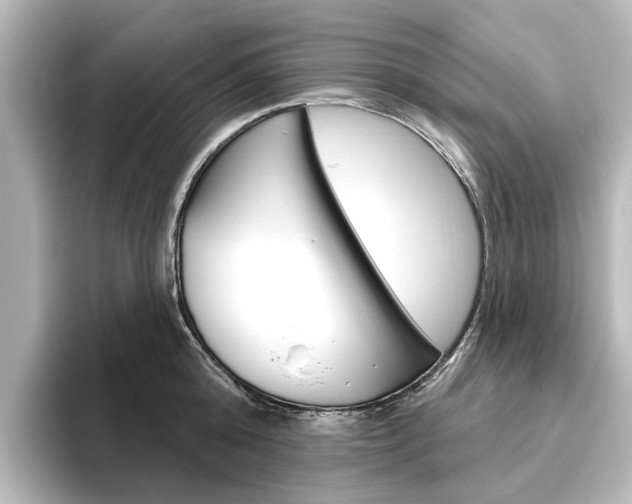 X0000096430808200801241022