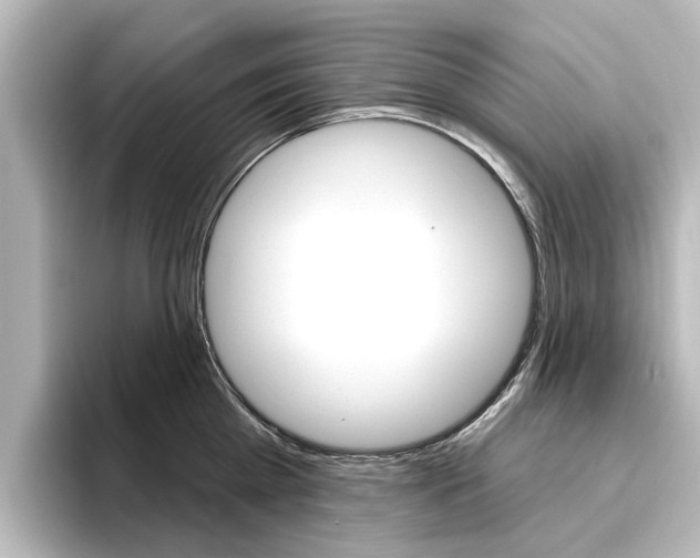 X0000096430809200801241022