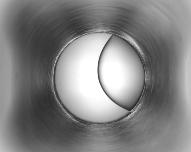 X0000096430810200801241022