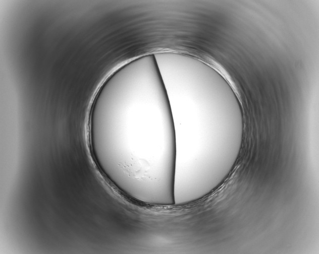 X0000096430811200801241022
