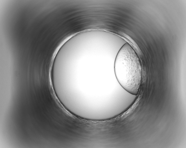 X0000096430812200801241022