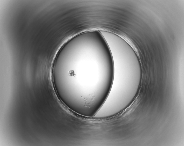 X0000096430813200801241022