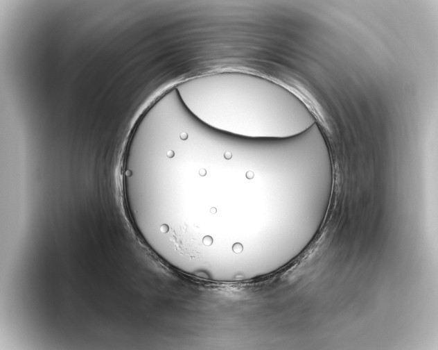 X0000096430814200801241022