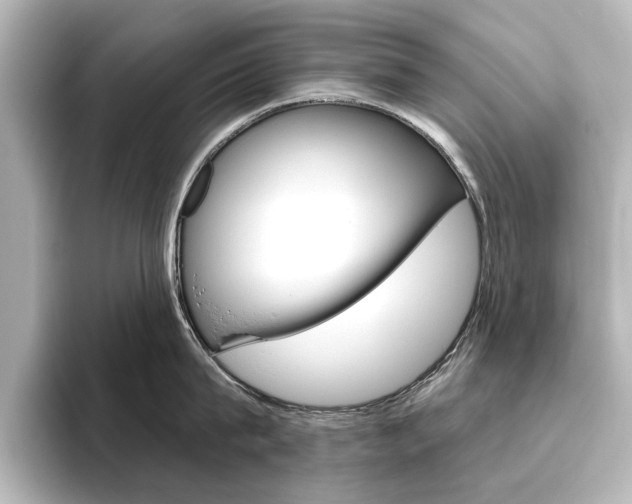 X0000096430815200801241022