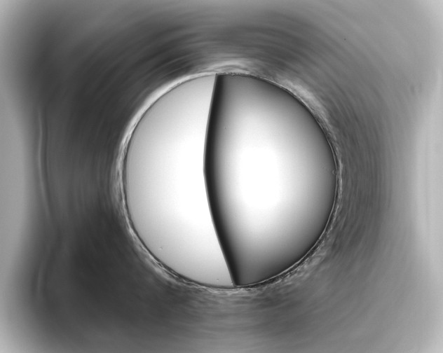 X0000096430816200801241022