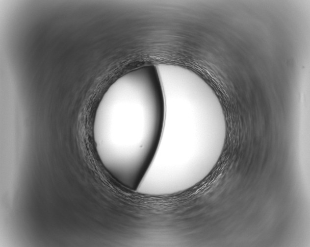 X0000096430817200801241022