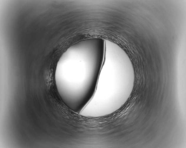 X0000096430818200801241022
