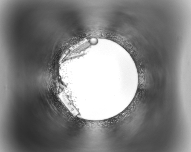 X0000096430820200801241022
