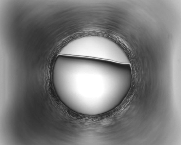 X0000096430821200801241022
